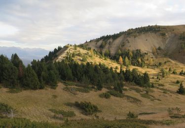 Percorso Marcia Le Dévoluy - Autour du col la Saume - Photo