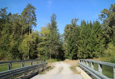 Trail On foot Haselsdorf-Tobelbad - Haselsdorf-Tobelbad 1 - Photo