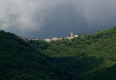 Trail On foot Fivizzano - IT-192 - Photo