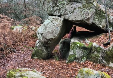 Tocht Stappen Fontainebleau - maison forestière Bois le roi 1er décembre 2023 - Photo