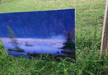 Trail Walking Pontpierre - expo nature Faulquemont  - Photo