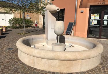 Tour Wandern Chaintré - Chantré  (Saône et Loire) - Photo
