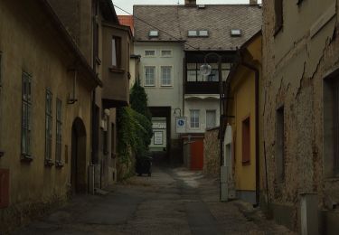 Randonnée A pied Zdice - [Z] NS Zdice, Lesopark Knihov - Photo