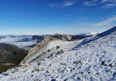 Trail Walking Soleilhas - Crête de Bernarde - Photo