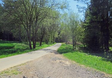 Tocht Te voet Königsfeld - Kapellenweg Königsfeld - Rote Route - Photo