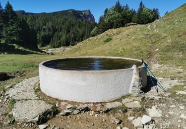 Tour Wandern Entremont-le-Vieux - camp Alpette - Photo