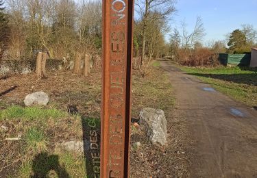 Tour Wandern Raismes - terril du lavoir rousseau - Photo