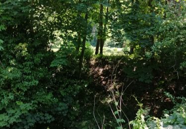 Tour Wandern Huy - Les Vallons de la Solières   - Photo