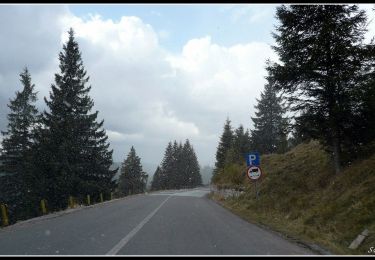 Trail On foot Gheorgheni - Pasul Pângărați – Poarta Lapoșului – Curmătura Pinticului (blue stripe) - Photo