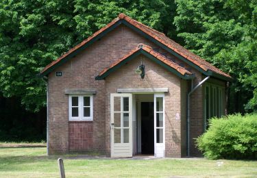 Excursión A pie Ede - Dwars door Gelderland (7) - Photo