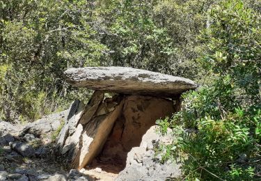 Tour Wandern Méjannes-le-Clap - mejannes sentier des baumes dolmens aven de peyre haute - Photo