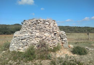 Excursión Senderismo Coudoux - Coudoux : Tour de guet Bories - Photo