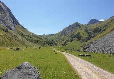 Trail Mountain bike Courchevel - courchevel - Photo