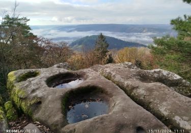 Excursión Senderismo Éloyes - Fresnes,champs dolents, cuveaux - Photo