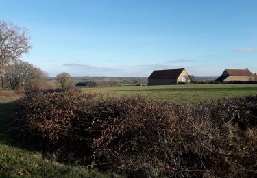 Excursión Bicicleta híbrida Pouligny-Notre-Dame - autour des Dryades  - Photo