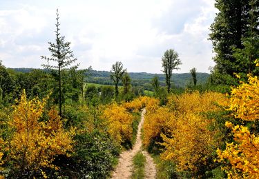 Tour Wandern Yvoir - Bauche - Crupet - Bauche - Photo