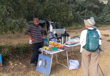 Randonnée Marche Villafranca Montes de Oca - Atapuerca - Photo