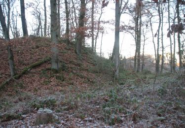 Tocht Te voet Weimar (Lahn) - [W7] Ortsrundweg Niederwalgern - Kehna - Stedebach - Niederwalgern - Photo