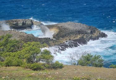 Randonnée Marche Anse-Bertrand - Trou du souffleur  - Photo