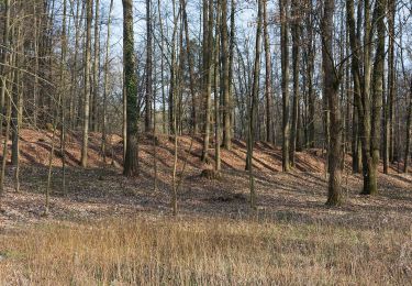 Tour Zu Fuß Kronach - Glosberger Weg KC 14 - Photo