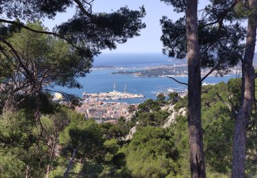 Trail Walking Toulon - Tour du Faron - Toulon - Photo