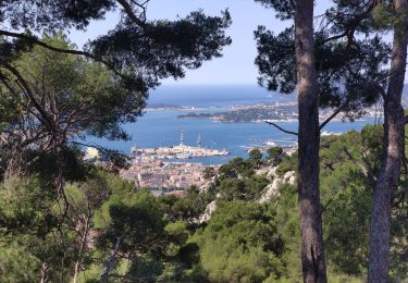 Percorso Marcia Tolone - Tour du Faron - Toulon - Photo