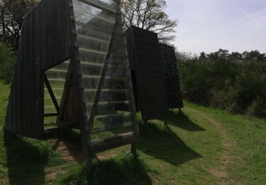 Trail Walking Lassy - Lassy 3 - Photo