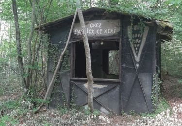 Percorso Camminata nordica Ludres - Randonnée Ludres la mine la maison Patrick et Nini - Photo