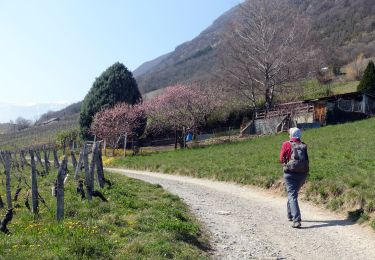 Tour Wandern Arbin - Arbin-Cruet-2021-03-23 - Photo