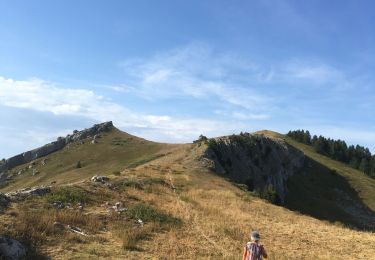 Trail Walking Manteyer - Là Céüzette  - Photo