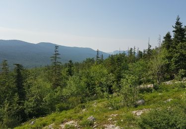 Randonnée Marche Corrençon-en-Vercors - Boucle Les Ravières - Photo