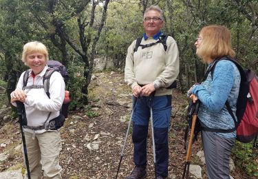 Trail Walking Saint-Vallier-de-Thiey - Baou Mourine - Photo