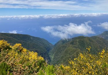 Randonnée Marche Serra de Água - Ribeiro brava - Photo