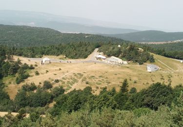 Tour Wandern Saint-Étienne-les-Orgues - les crêtes de lure. Le sommet  - Photo