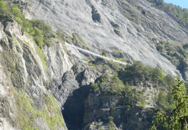 Excursión A pie Savièse - Bisse de Savièse (Torrent-Neuf) - Photo