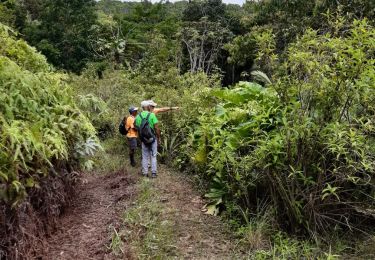 Trail Walking Sainte-Rose - contrebandiers belle isle - Photo