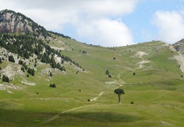 Tocht Stappen Saint-Agnan-en-Vercors - 20180109144250-E1WDp - Photo