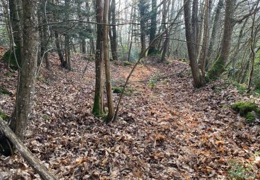 Tocht Stappen Saint-Jean-sur-Mayenne - Chat meignan - Photo