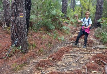 Tocht Stappen Saint-Étienne-Vallée-Française - Saint Jean du Gard - Photo