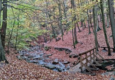 Excursión Bici de montaña Trooz - Balade vers le Ninglinspo - Photo