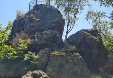 Trail Walking Vieux-Thann - Rando CLAS du Jeudi 19 Juin 2025 par PBo - Photo