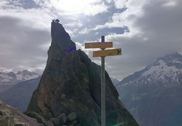 Trail Walking Chamonix-Mont-Blanc - Lac blanc par Argentierre  - Photo