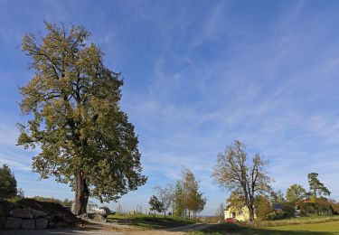 Trail On foot Gemeinde Raabs an der Thaya - AT-71 - Photo