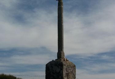 Tour Wandern Saint-Alban-sur-Limagnole - les faux à au mont sur aubrac - Photo