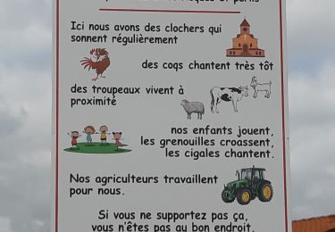 Excursión Senderismo Réaup-Lisse - La Sabliere Andiran la sablière - Photo