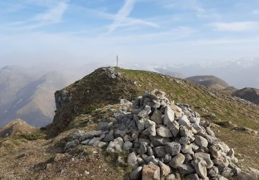 Tocht Stappen Osse-en-Aspe - Sum du Layens - Photo