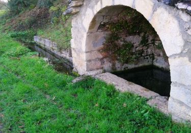 Randonnée Marche Sonthonnax-la-Montagne - pt de vue Chougeat  - Photo