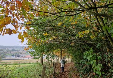 Percorso Marcia Braine-le-Château - #241108 - Braine-le-Château, Moulin Banal, Derrière les Monts, Les Meurisses, GRP 127**** - Photo