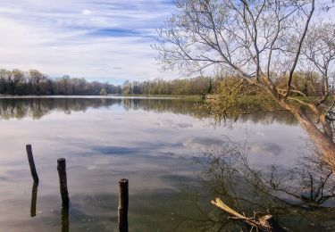 Excursión Senderismo Bussy-Saint-Georges - Boucle Rentilly - Noisiel - Etang de la Brosse - Etang de la Loy - Photo