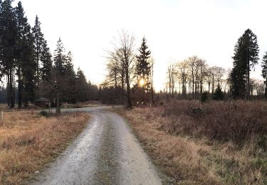 Trail On foot Netphen - Schulweg Rundweg A7 Lahntal-Lahnquelle-Eisenstraße - Photo